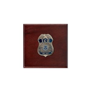 Presentation Box For Challenge Coin w/ ICE Emblem
