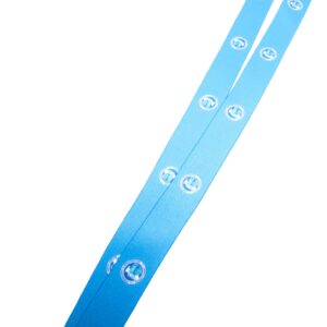 Lanyard (CISA)