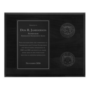 Coins Plaque - Blackout (ICE)