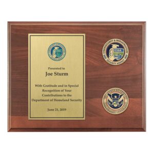 Coins Plaque  (CISA)