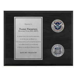 Coins Plaque (ICE) - Silver / Black