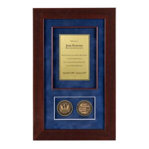 Recognition Shadow Box (Cherry) w/ Coins (CBP - AMO)