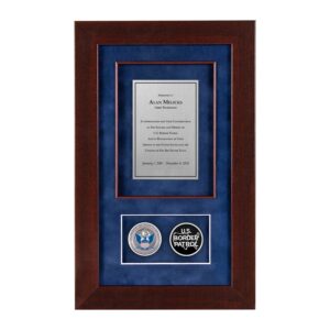 Cherry Shadow Box (USBP Coins) - Silver