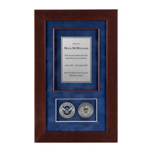 Recognition Shadow Box (Cherry) w/ Coins (DHS) - Antique Silver