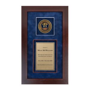Recognition Shadow Box (Cherry) w/ Medallion (CBP) - Antique Brass