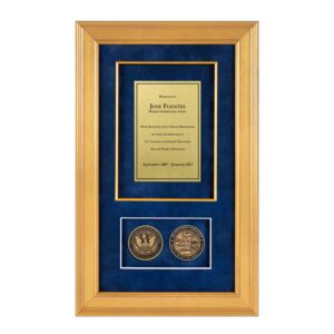 Recognition Shadow Box (Gold) w/ Coins (CBP - AMO)