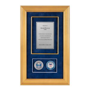 Recognition Shadow Box (Gold) w/ Coins (CBP) - Antique Silver