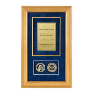 Recognition Shadow Box (Gold) w/ Coins (CISA)