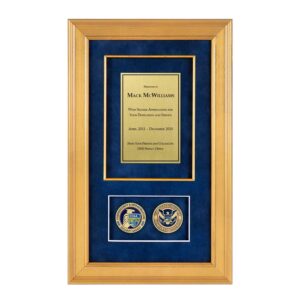 Alternative view of Recognition Shadow Box (Gold) w/ Coins (CISA)