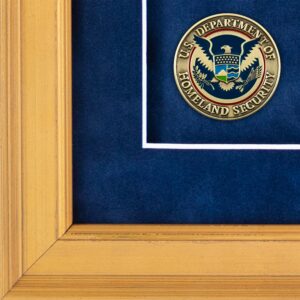 Alternative view of Recognition Shadow Box (Gold) w/ Coins (DHS)