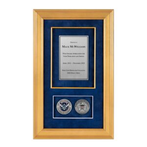 Recognition Shadow Box (Gold) w/ Coins (DHS) - Antique Silver