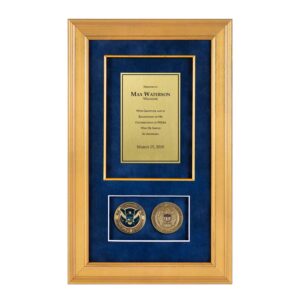 Recognition Shadow Box (Gold) w/ Coins (FEMA)