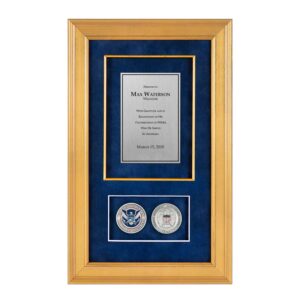 Recognition Shadow Box (Gold) w/ Coins (FEMA) - Silver