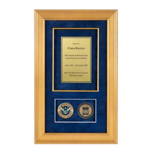 Recognition Shadow Box (Gold) w/ Coins (FPS)