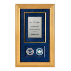 Recognition Shadow Box (Gold) w/ Coins (TSA) - Antique Silver