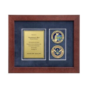 Desk Frame w/ 2 Coins Award (CISA)