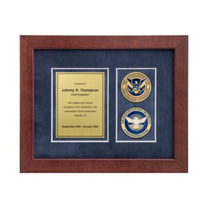 Desk Frame w/ 2 Coins Award (TSA)