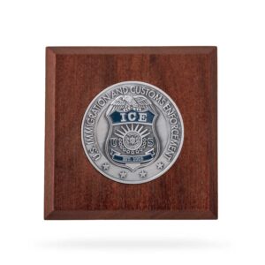 Wooden Paperweight w/ Coin (ICE) - Silver