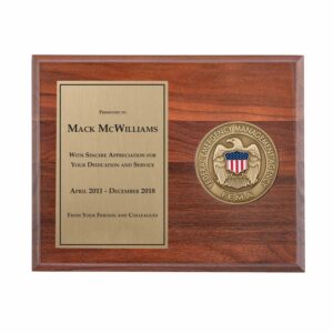 Medallion Plaque Award (FEMA)
