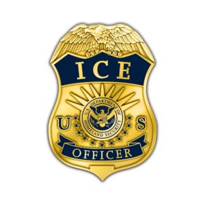 Alternative view of ICE Badge Officer Lapel Pin