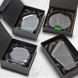 Alternative view of The Hilldale Award (Crystal)