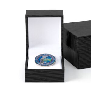 CISA Lapel Pin - Black Box