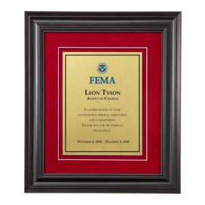Shadow Box Plaque - Black (FEMA) - Brushed Brass -