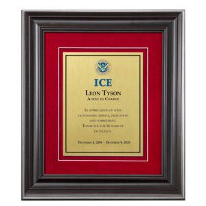 Shadow Box Plaque - Black (ICE) - Brushed Brass -