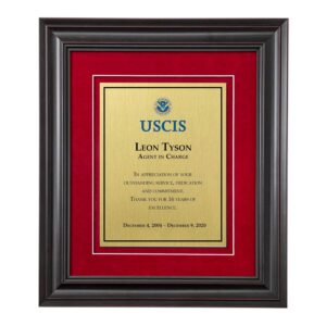 Shadow Box Plaque - Black (USCIS) - Brushed Brass -
