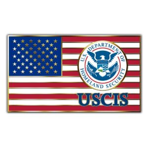 Alternative view of USCIS American Flag Lapel Pin