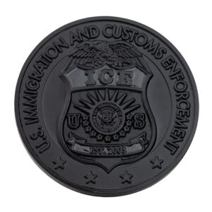 Alternative view of ICE Challenge Coin (Blackout)