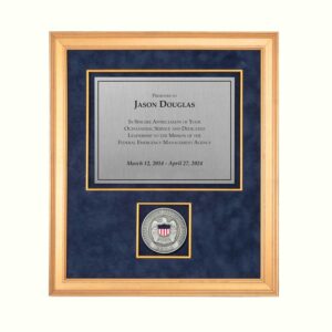 Recognition Shadow Box w/ Medallion (FEMA) - SILVER