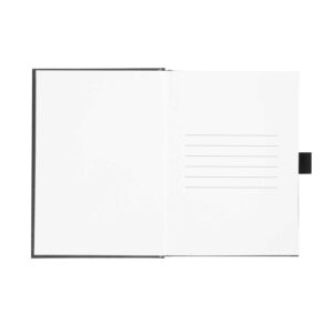 Alternative view of TSA Executive Journal